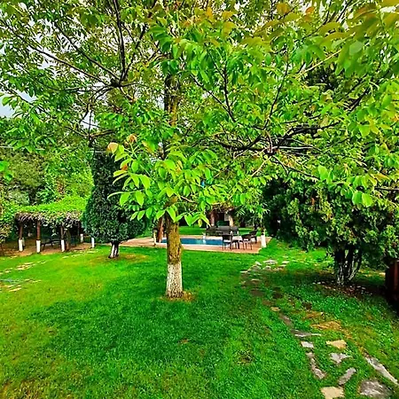 Hotell Alex Village Life Kartepe