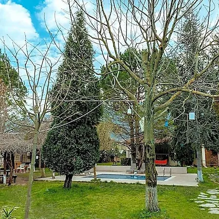 Alex Village Life Kartepe Hotell Himmetli