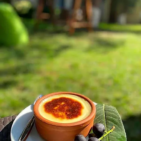 Alex Village Life Kartepe